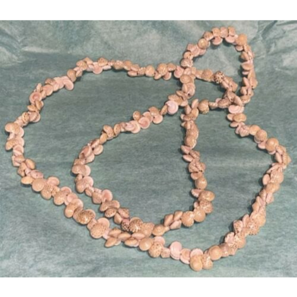 Tiny Sea Shell Necklace 20” Boho Ocean Tropical Beach Earth Tone Nautical Island